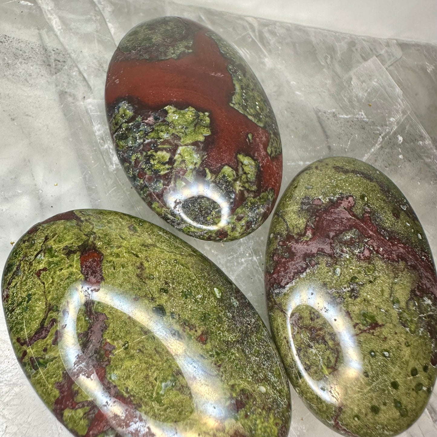 Dragon Blood Palms