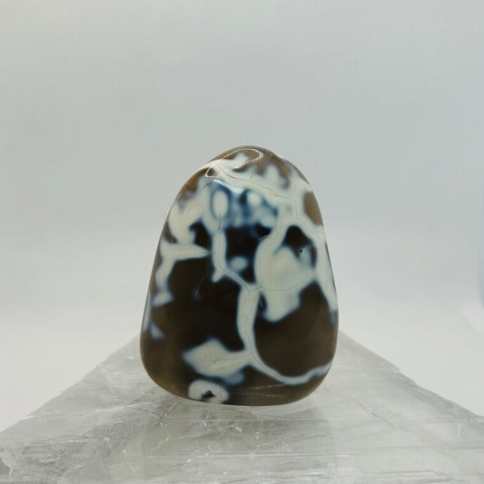 Orca Agate Free Form