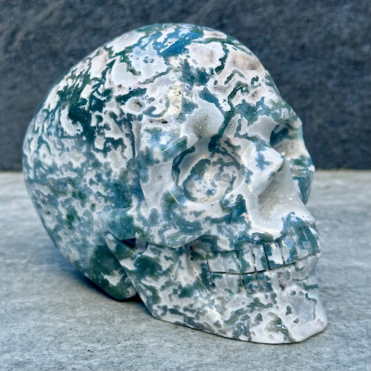 High Grade Moss Agate Skull Craving