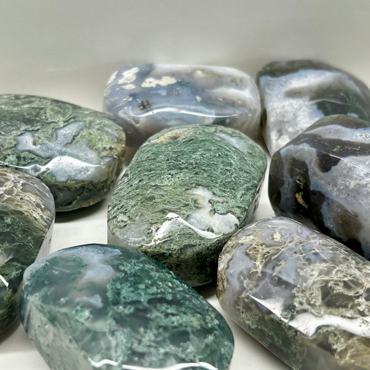 Moss Agate Palms