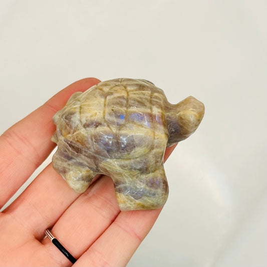 Moonstone Turtle