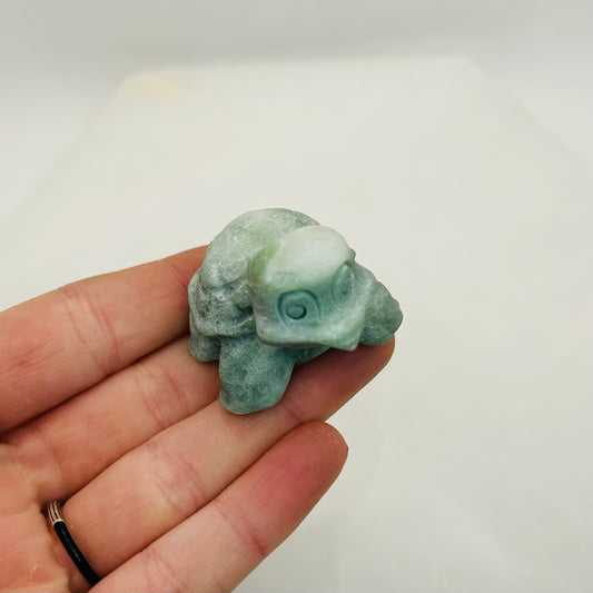 Squirtle Turtle