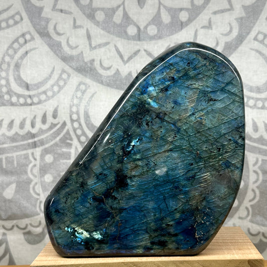 High Grade Labradorite Free Form