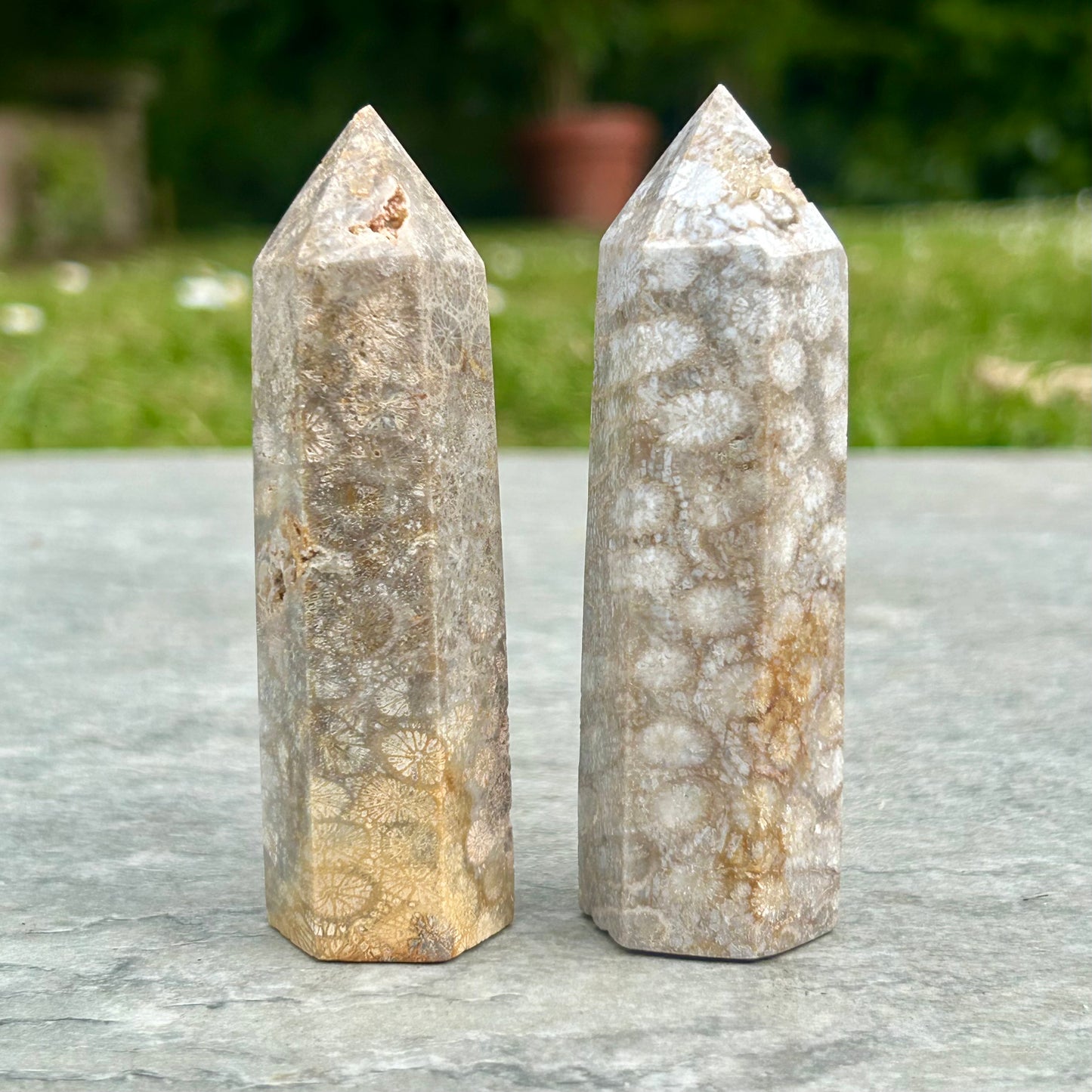 Coral Towers