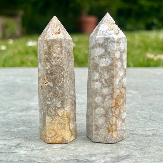 Coral Towers