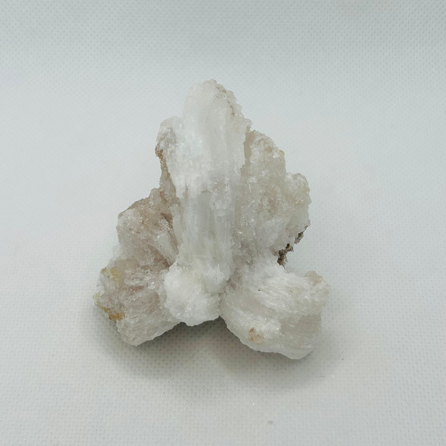Horned Selenite Raws