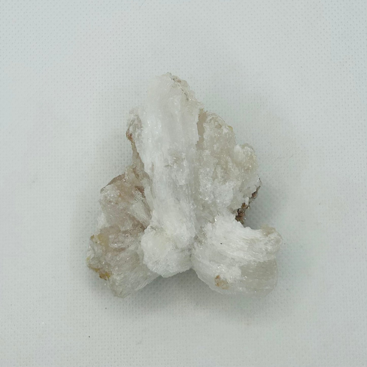 Horned Selenite Raws