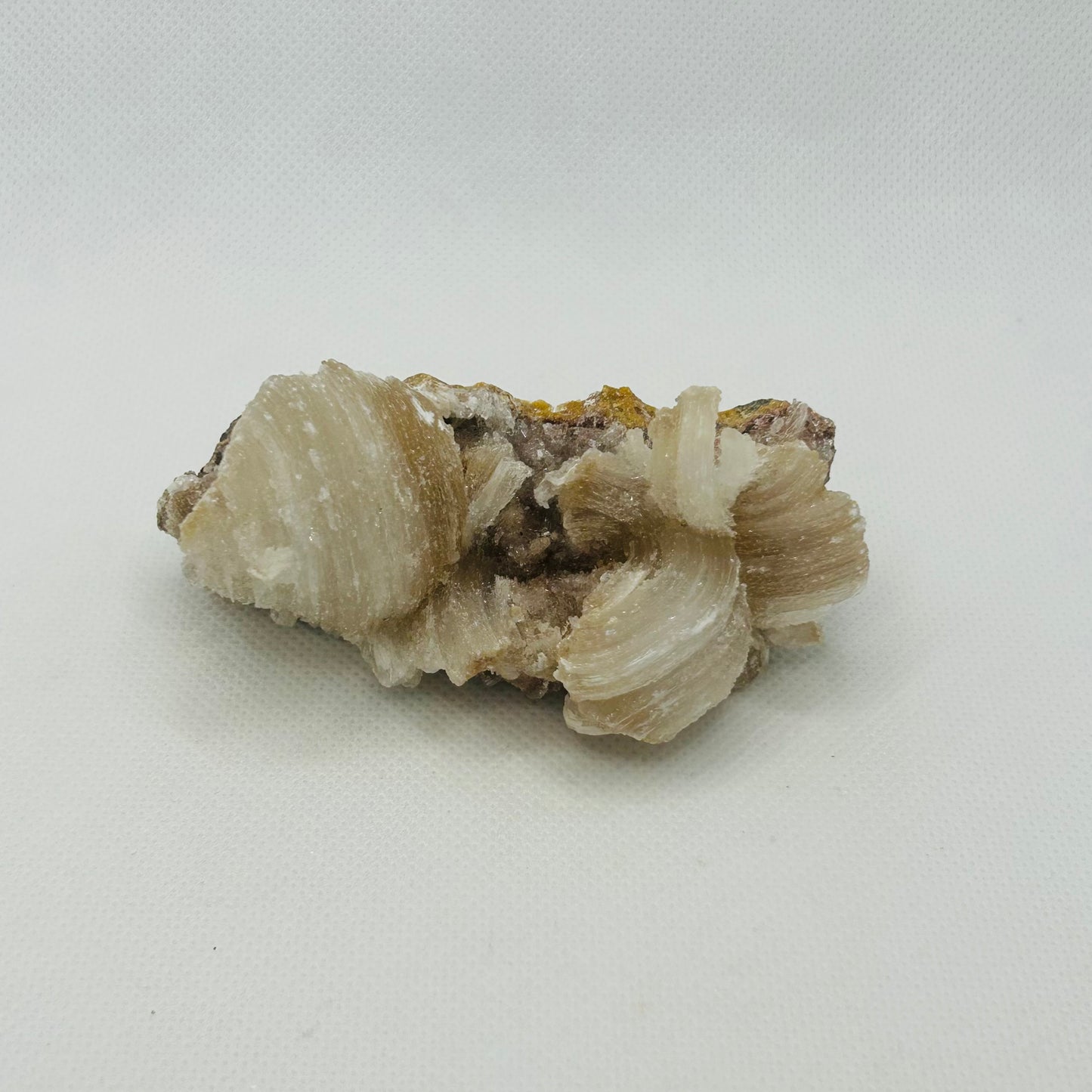 Horned Selenite Raws
