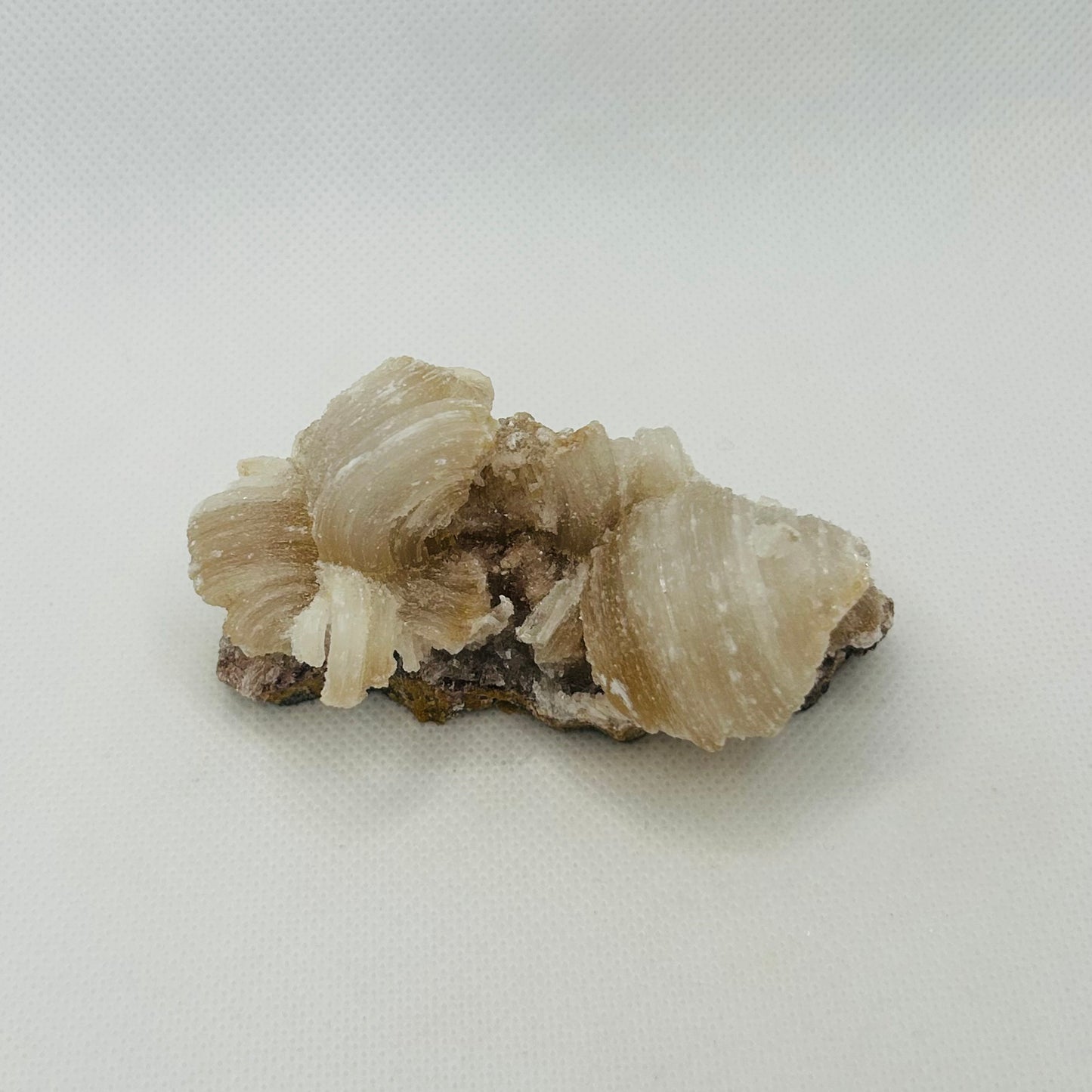Horned Selenite Raws