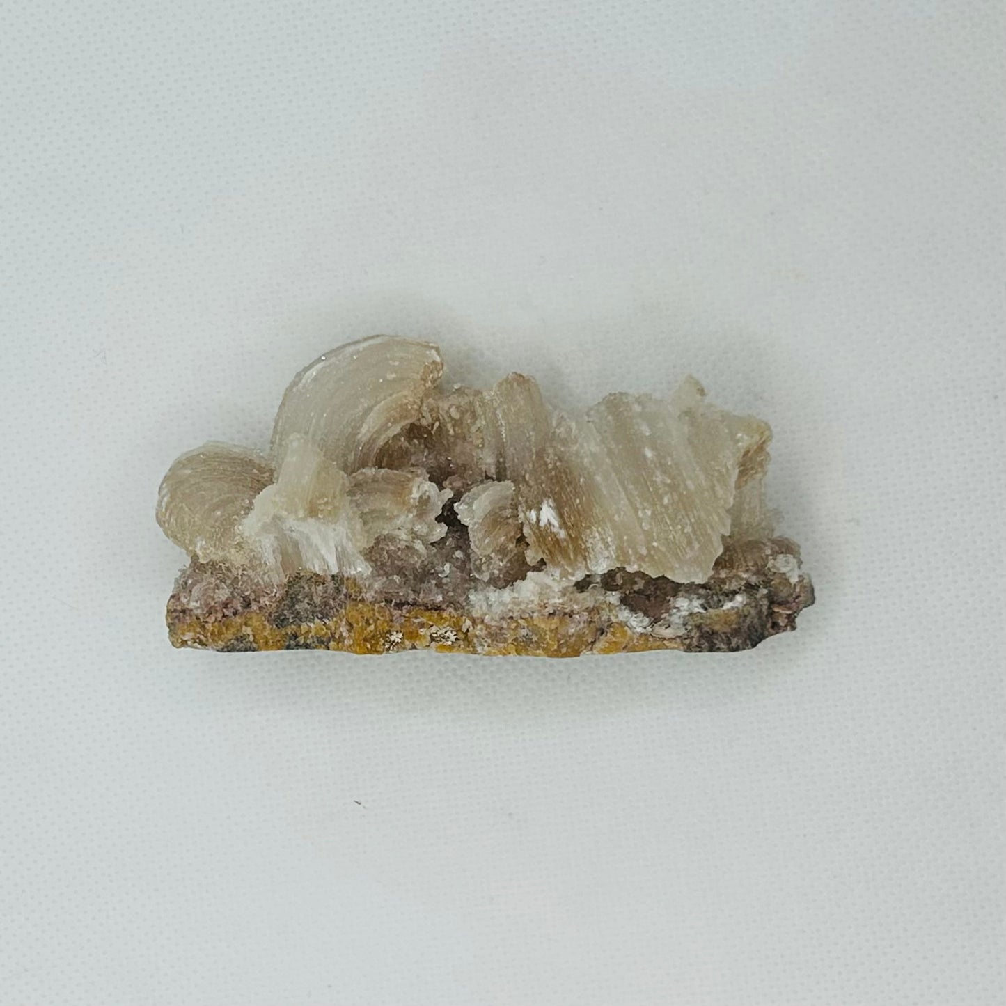 Horned Selenite Raws