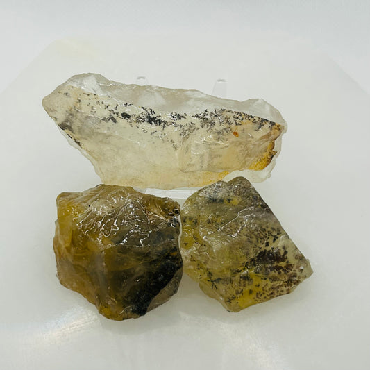 Raw Tree Agate