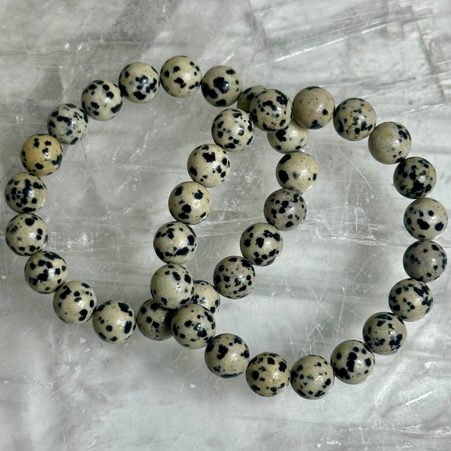 Dalmation Jasper 10mm Bracelets