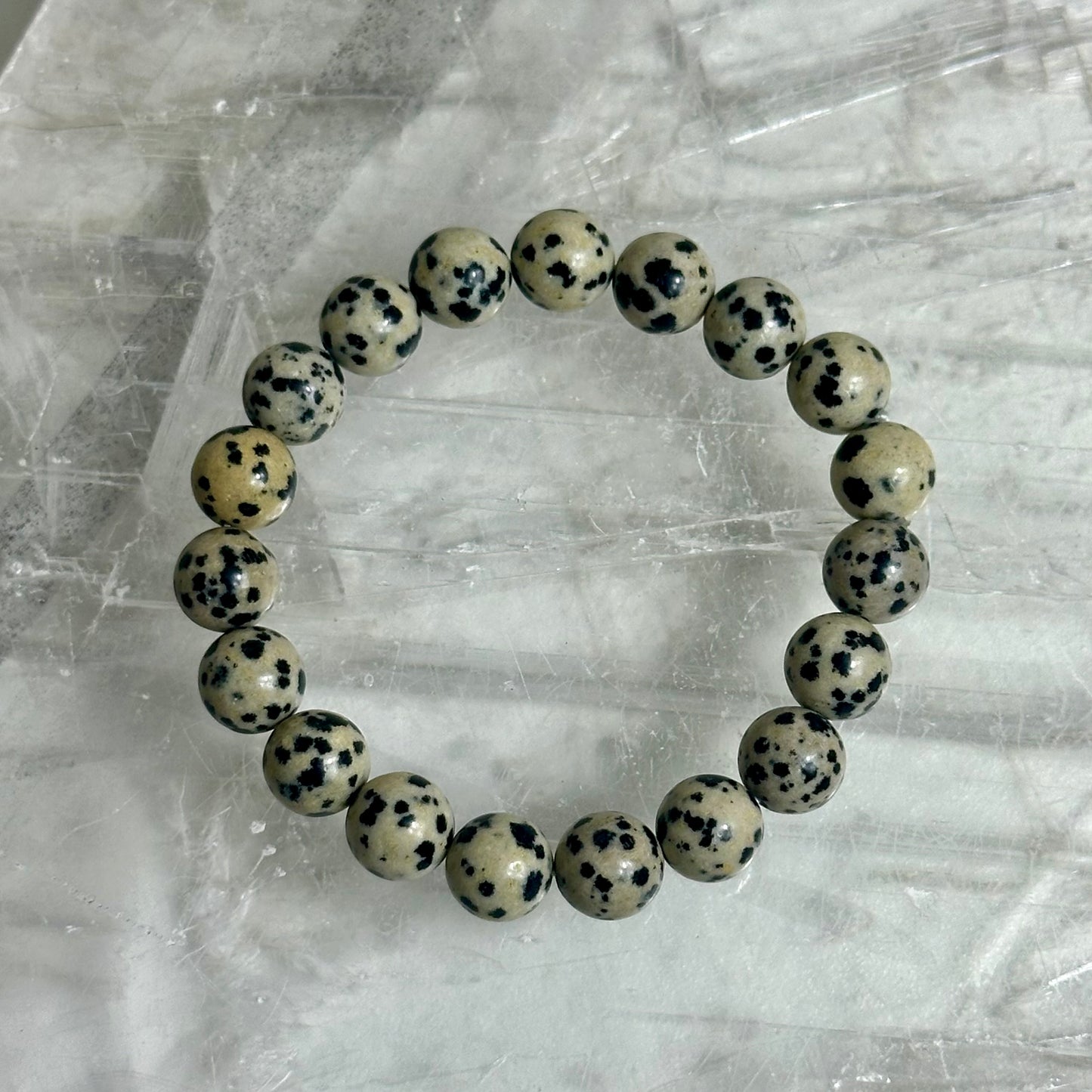 Dalmation Jasper 10mm Bracelets