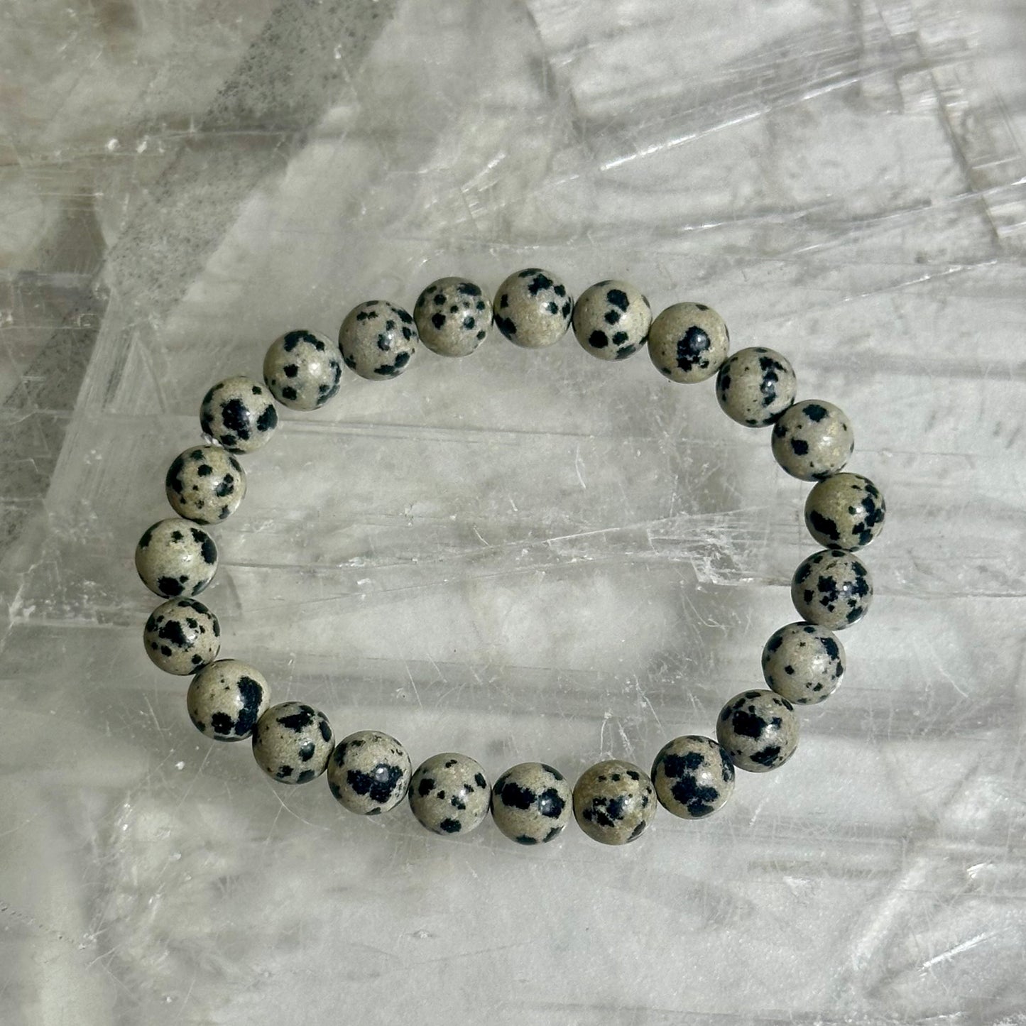 Dalmation Jasper 8mm Bracelets