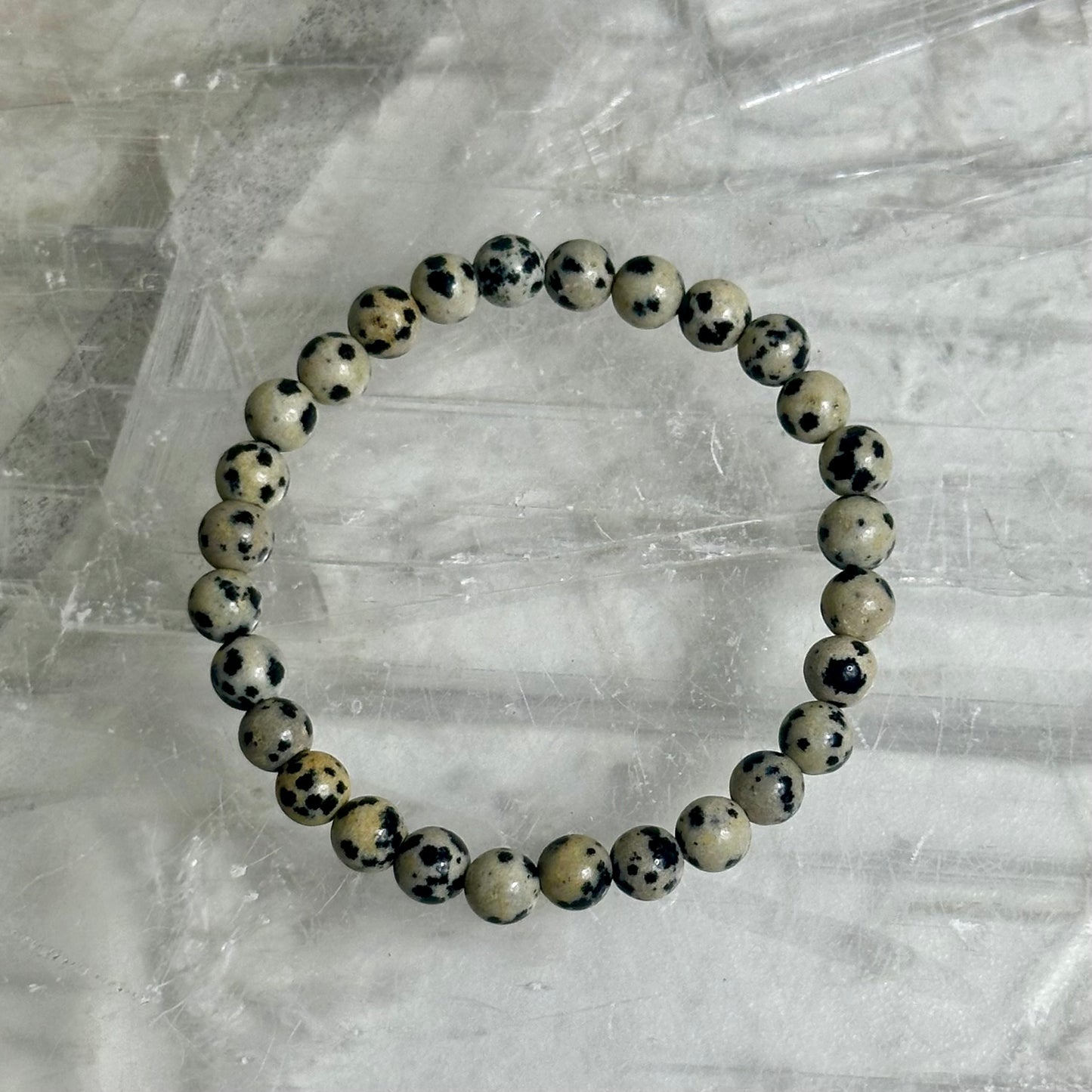 Dalmation Jasper 6mm Bracelets