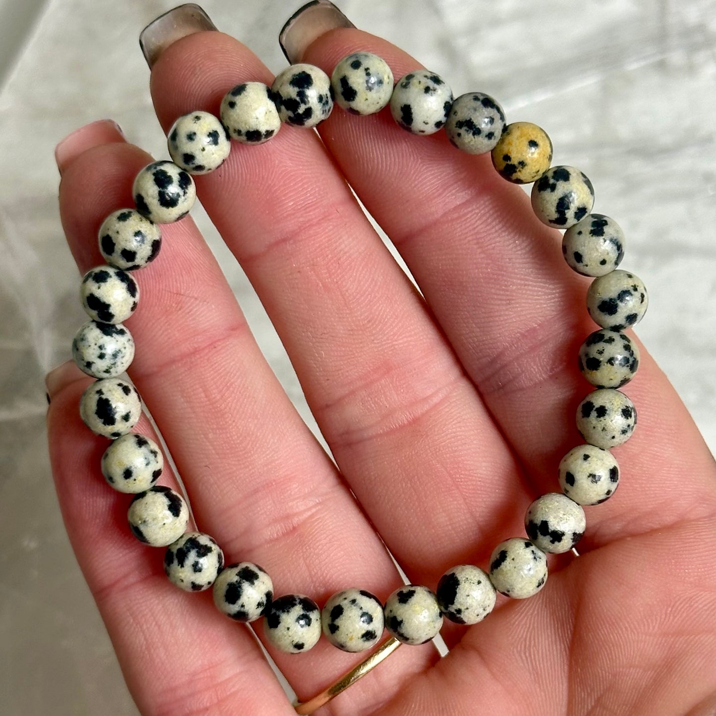 Dalmation Jasper 6mm Bracelets