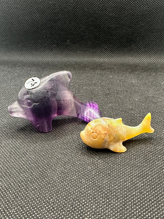 Crystal Dolphins
