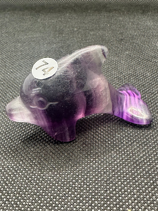 Crystal Dolphins
