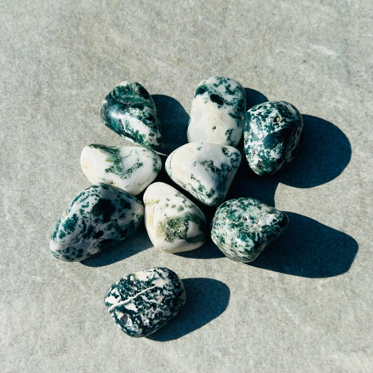 Large Moss Agate Tumbles