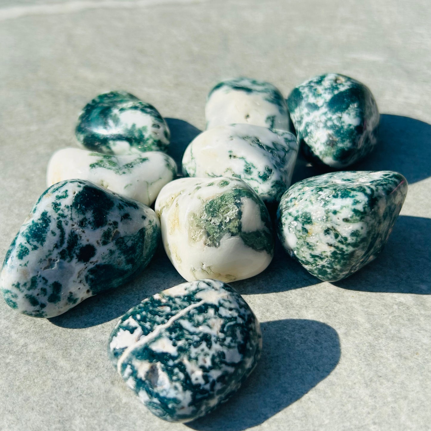 Large Moss Agate Tumbles