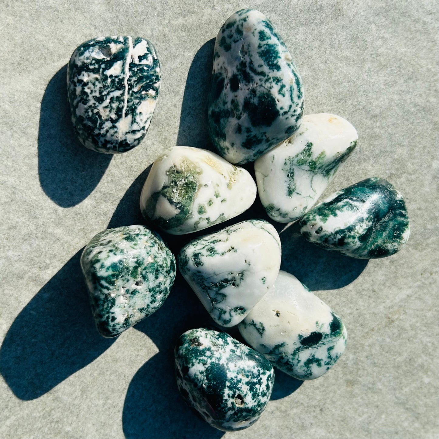 Large Moss Agate Tumbles