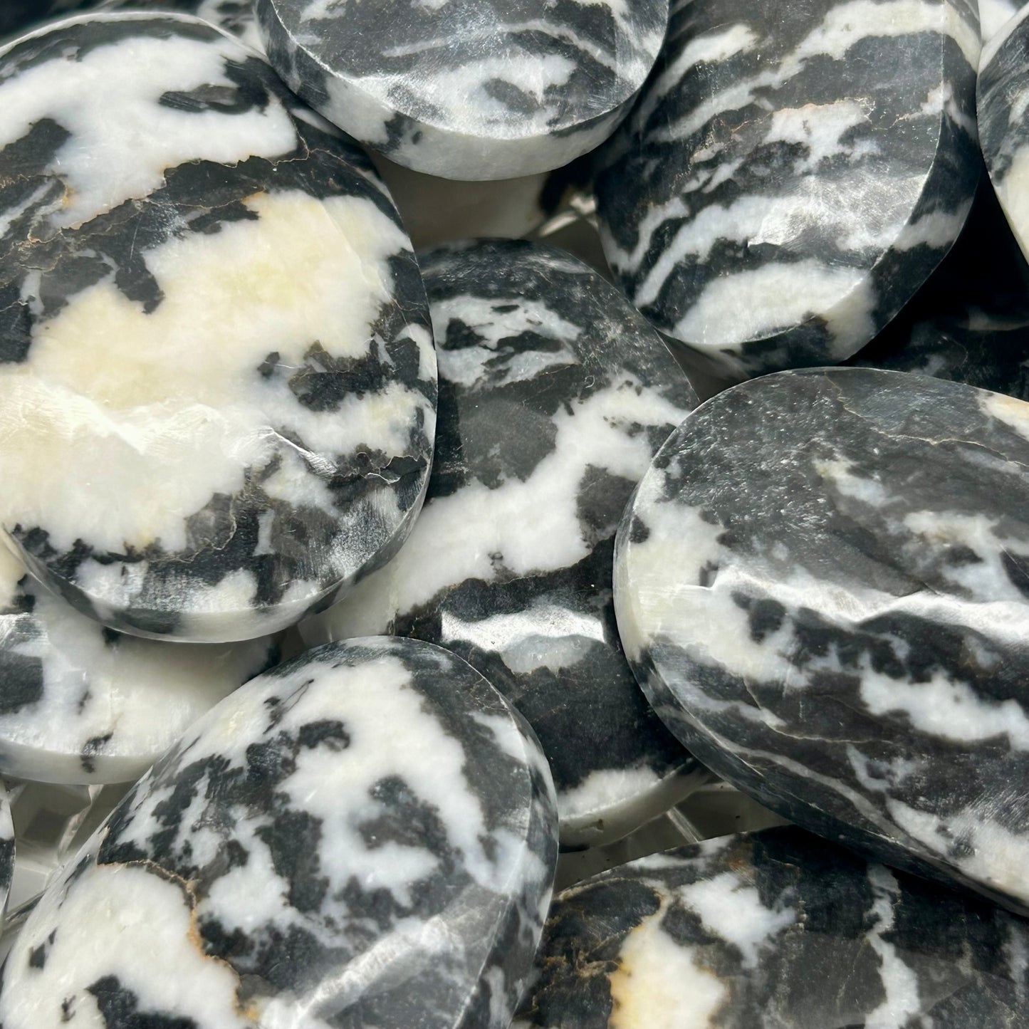 Zebra Jasper Palms