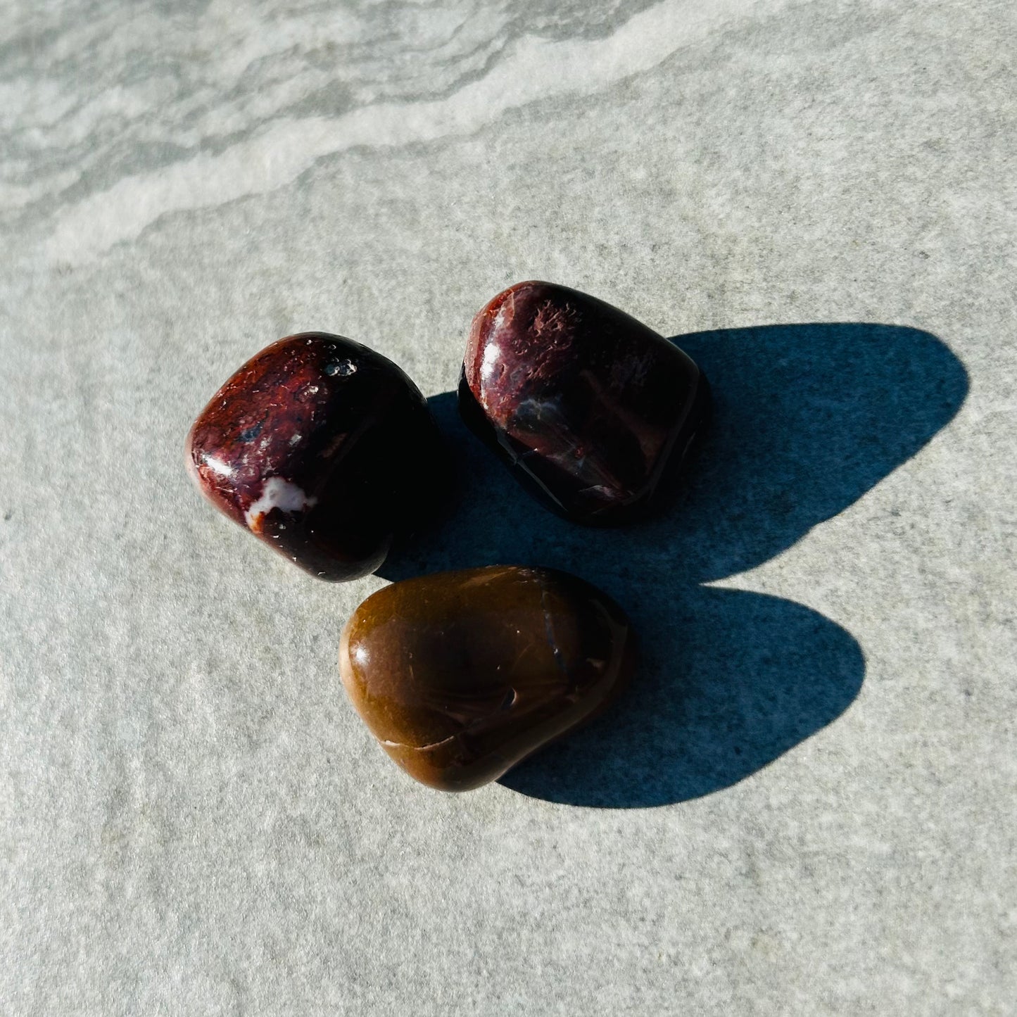 Petrified Wood Tumbles