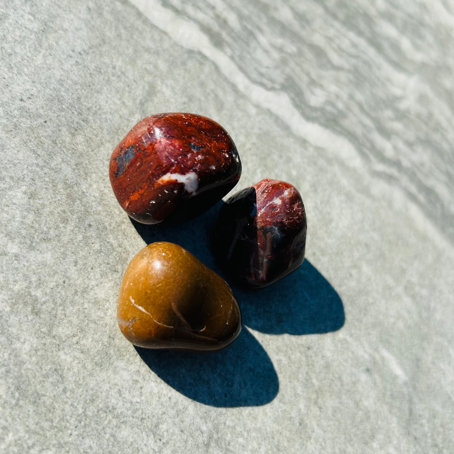 Petrified Wood Tumbles