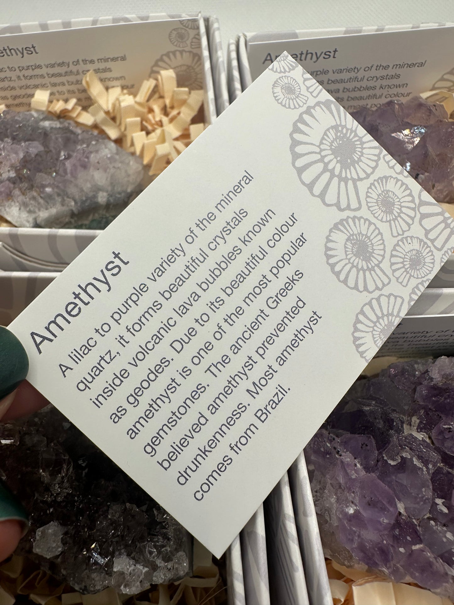 Amethyst Clusters in Gift Box