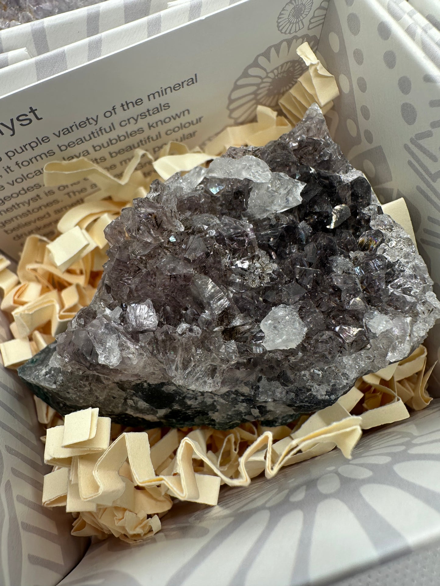 Amethyst Clusters in Gift Box