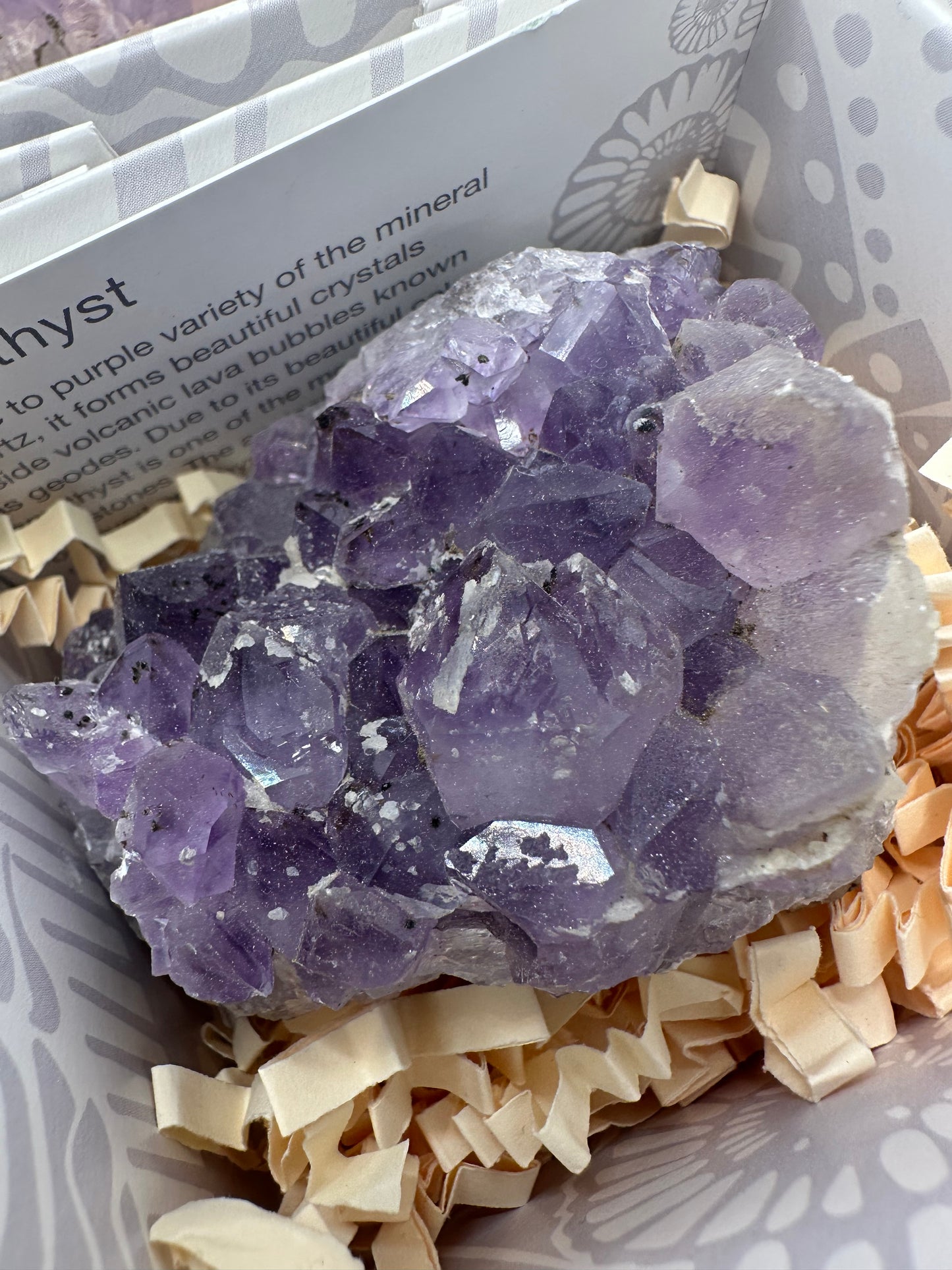 Amethyst Clusters in Gift Box