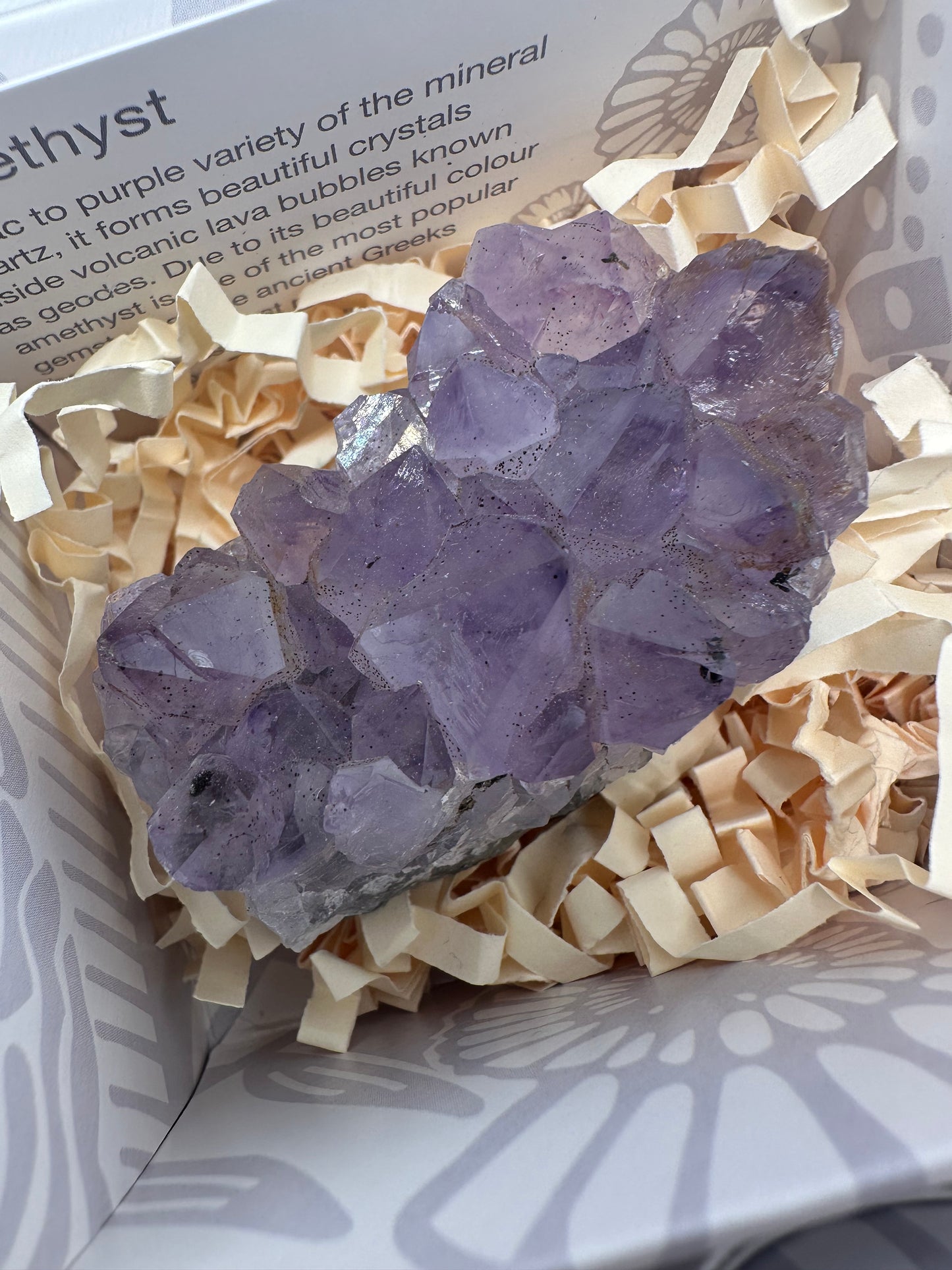 Amethyst Clusters in Gift Box