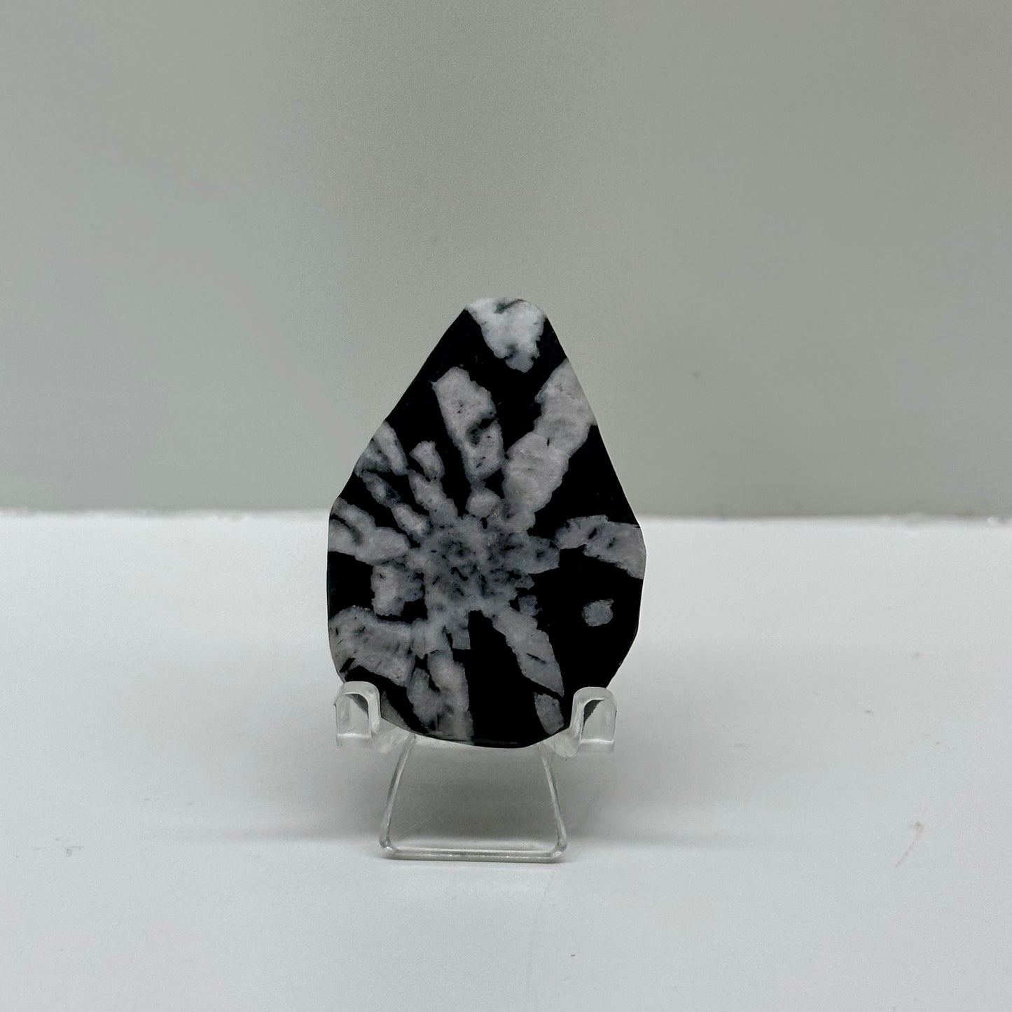 Chrysanthemum Flat Tear Drops On Stands