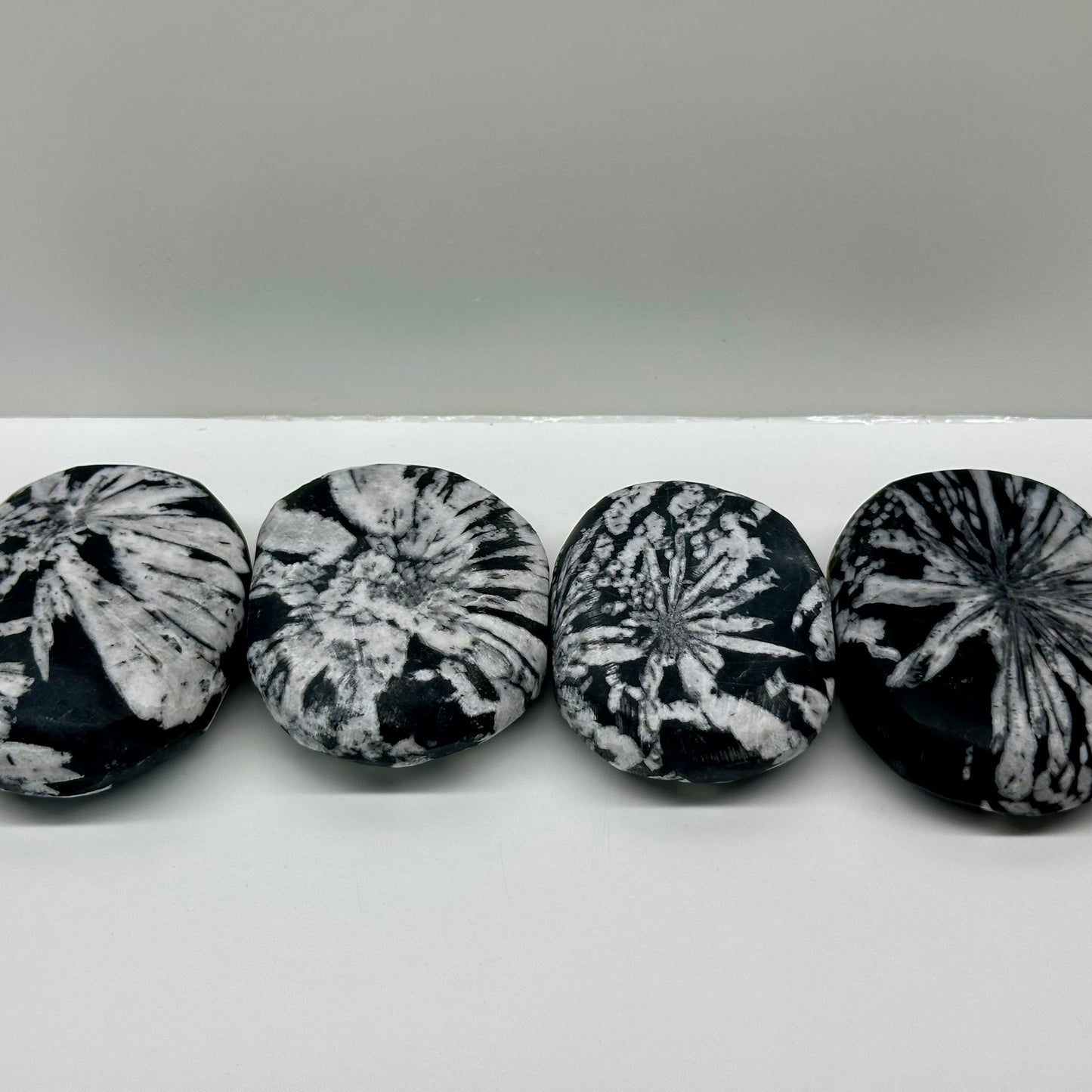 Chrysanthemum Palms