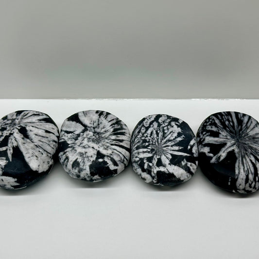 Chrysanthemum Palms