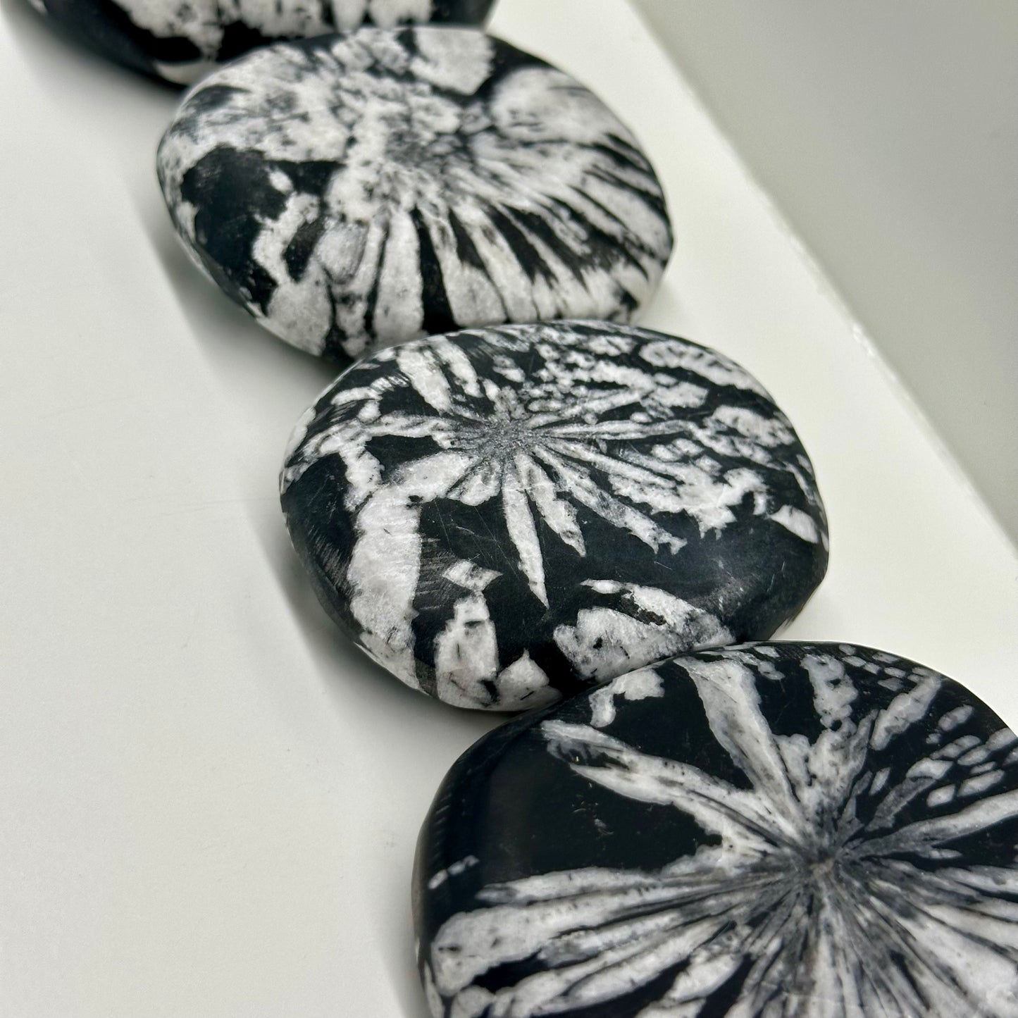 Chrysanthemum Palms