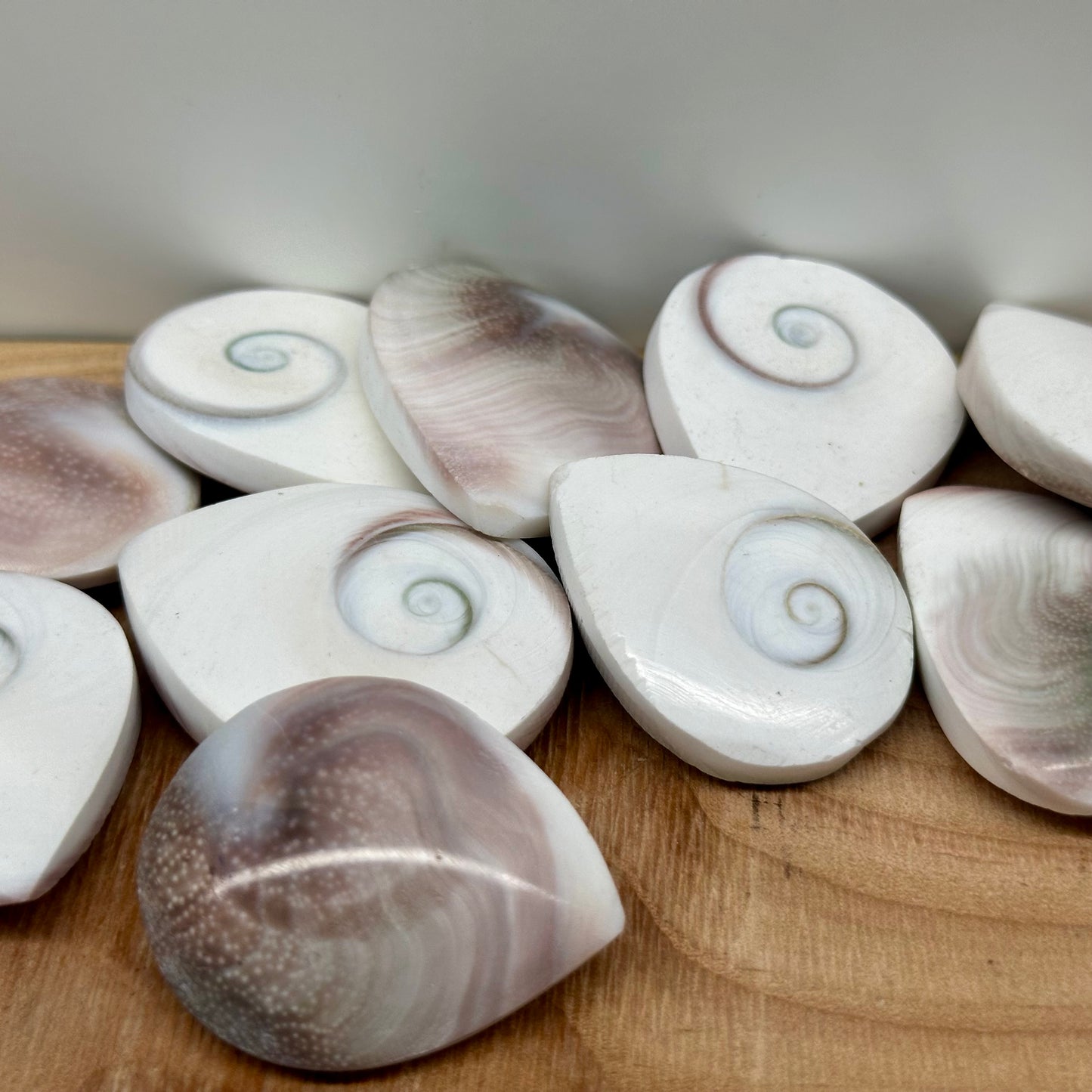 Shiva Shell Tear Drops