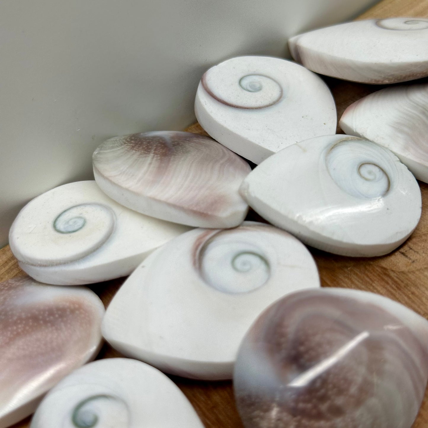 Shiva Shell Tear Drops