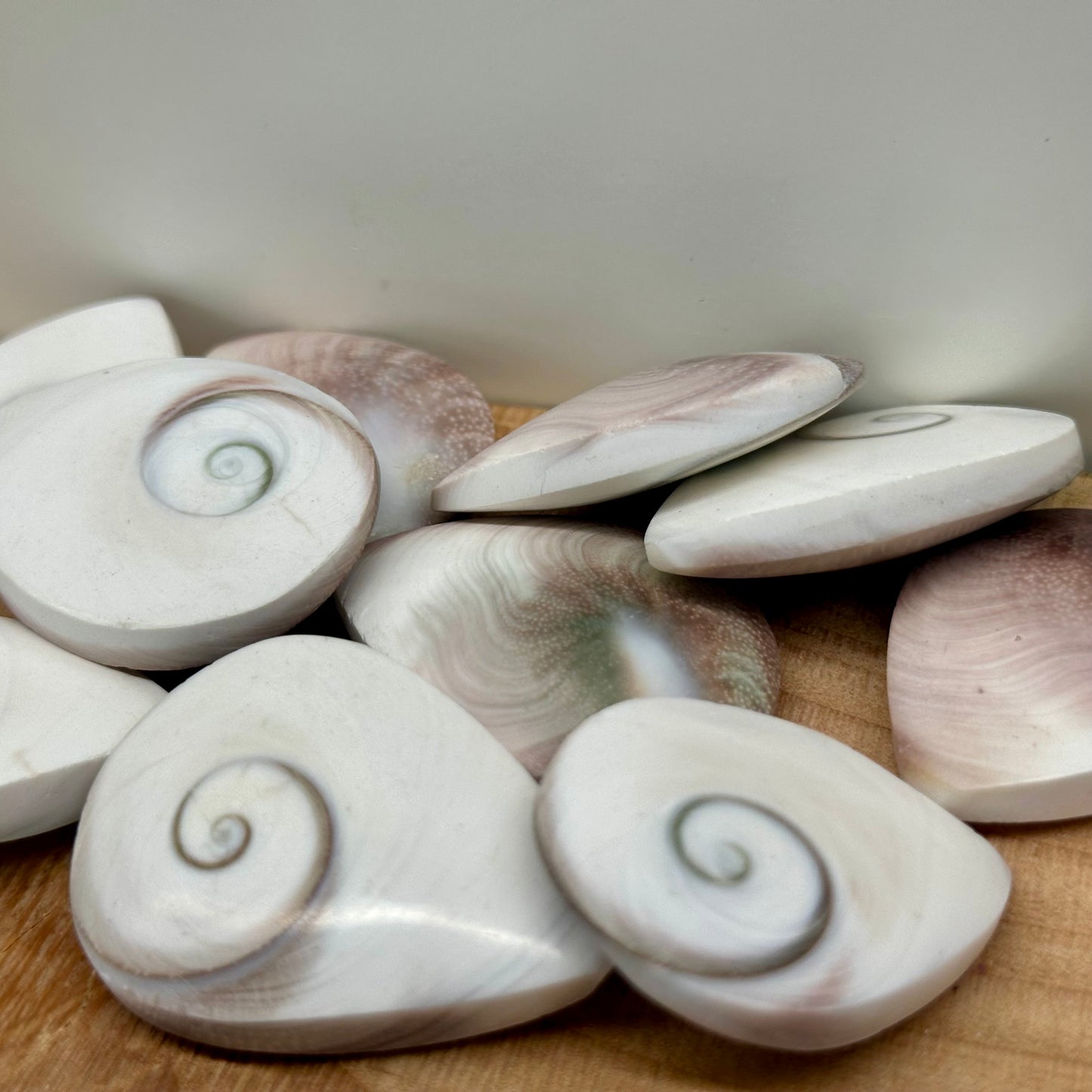 Shiva Shell Tear Drops
