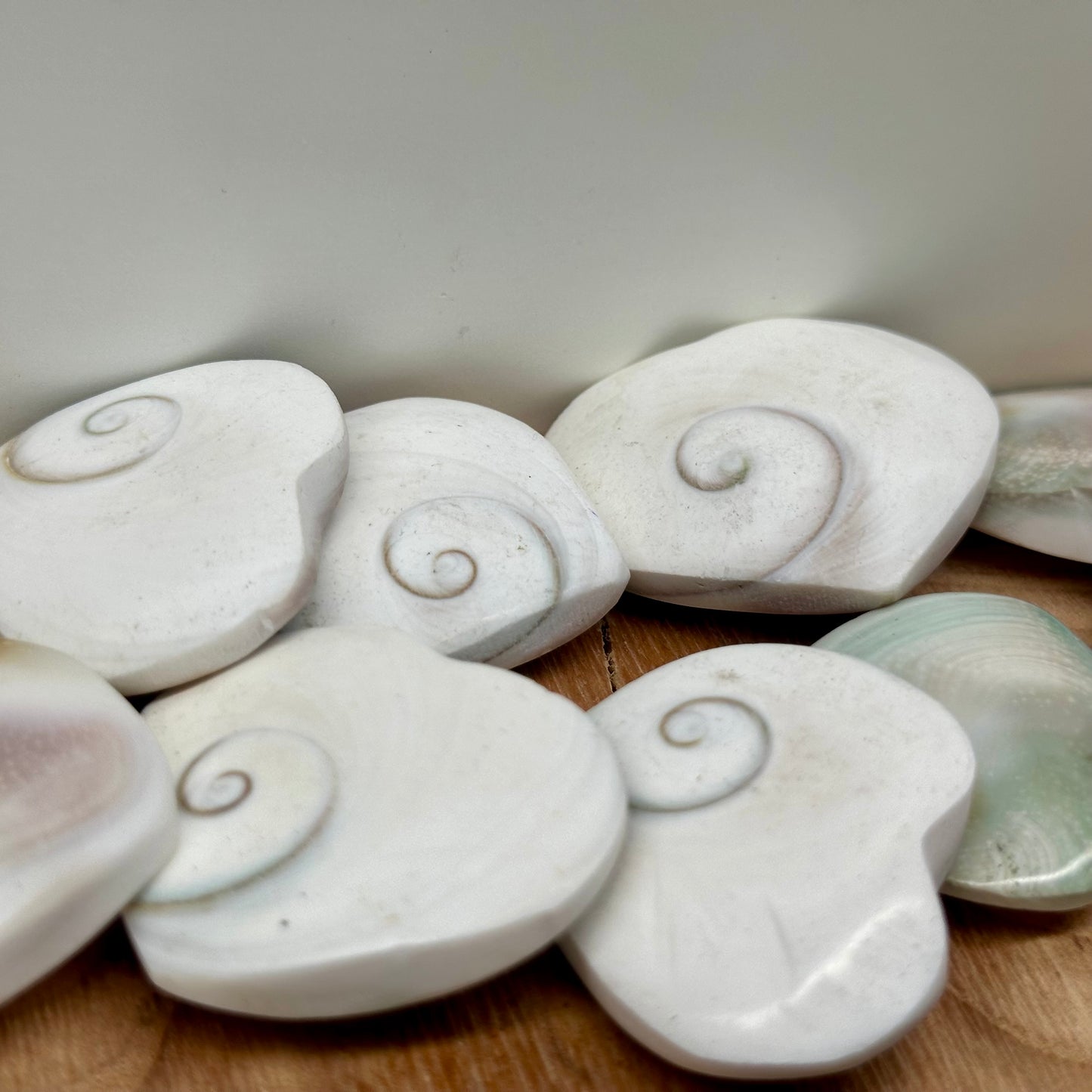 Shiva Shell Hearts