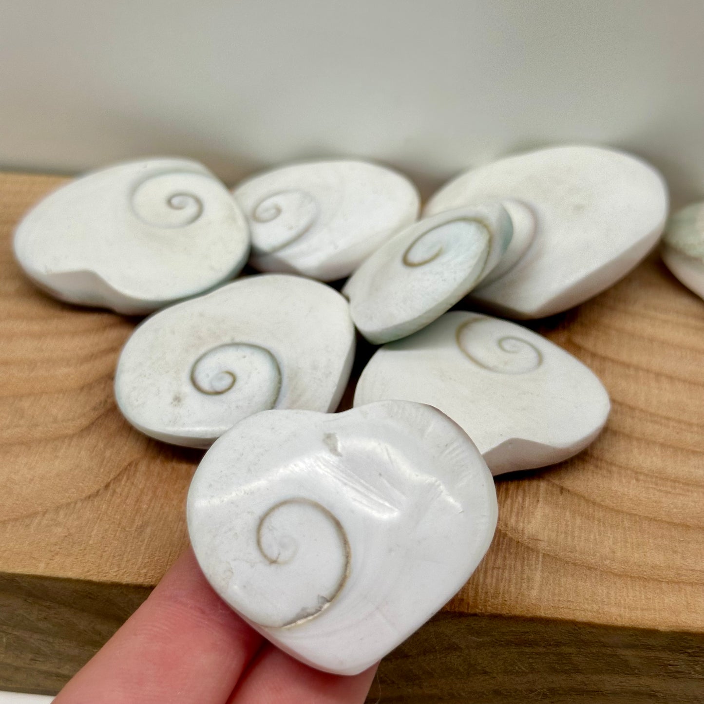 Shiva Shell Hearts