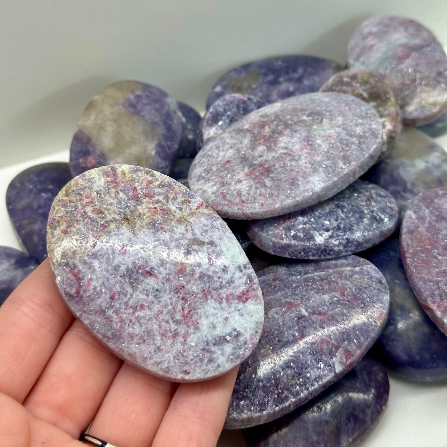 Unicorn Stone Palms