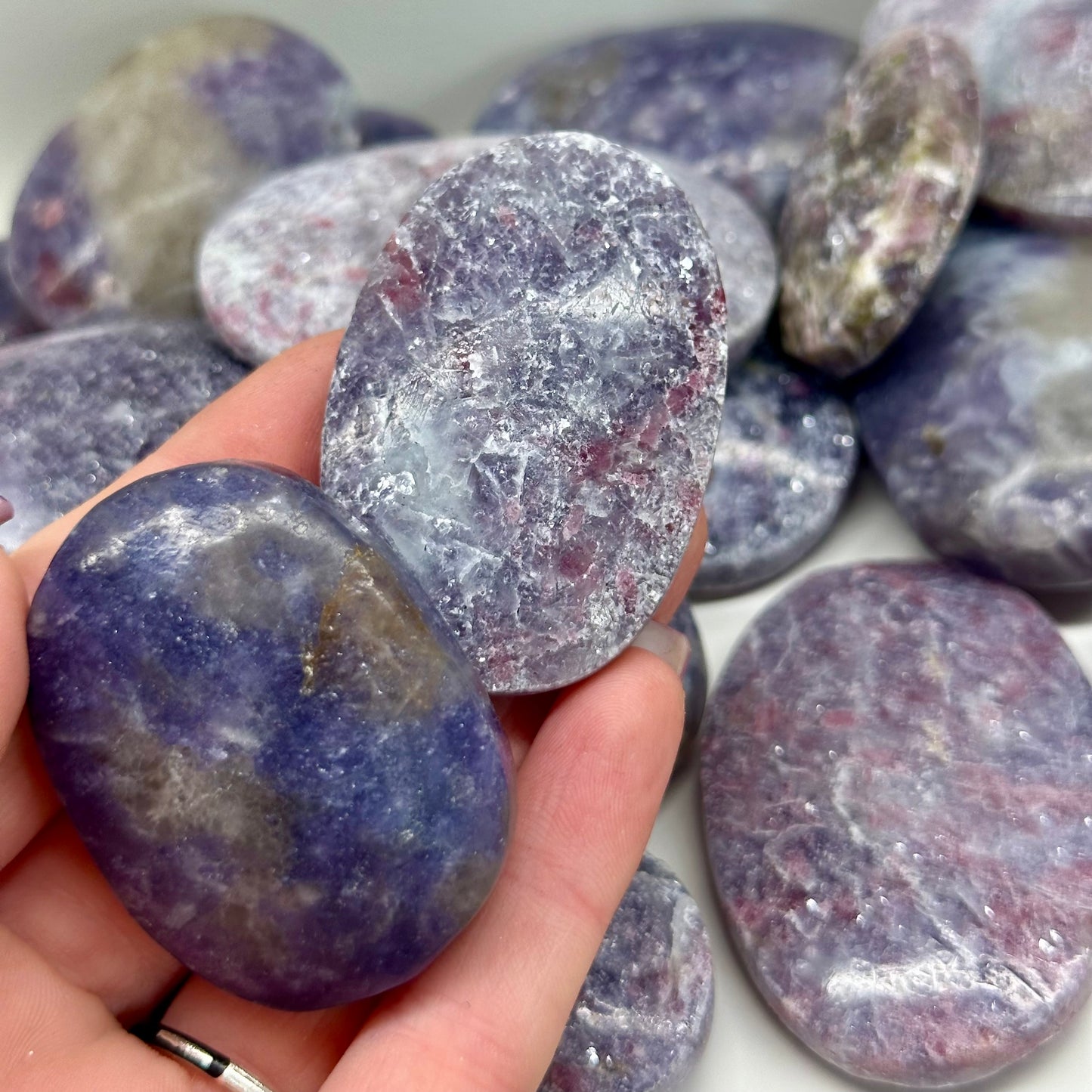 Unicorn Stone Palms