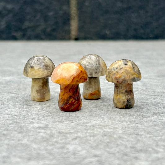 Crazy Lace Agate Mushrooms