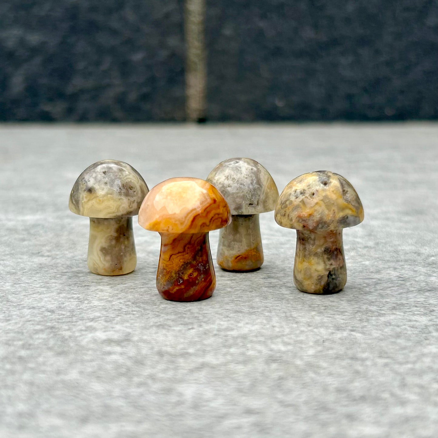 Crazy Lace Agate Mushrooms