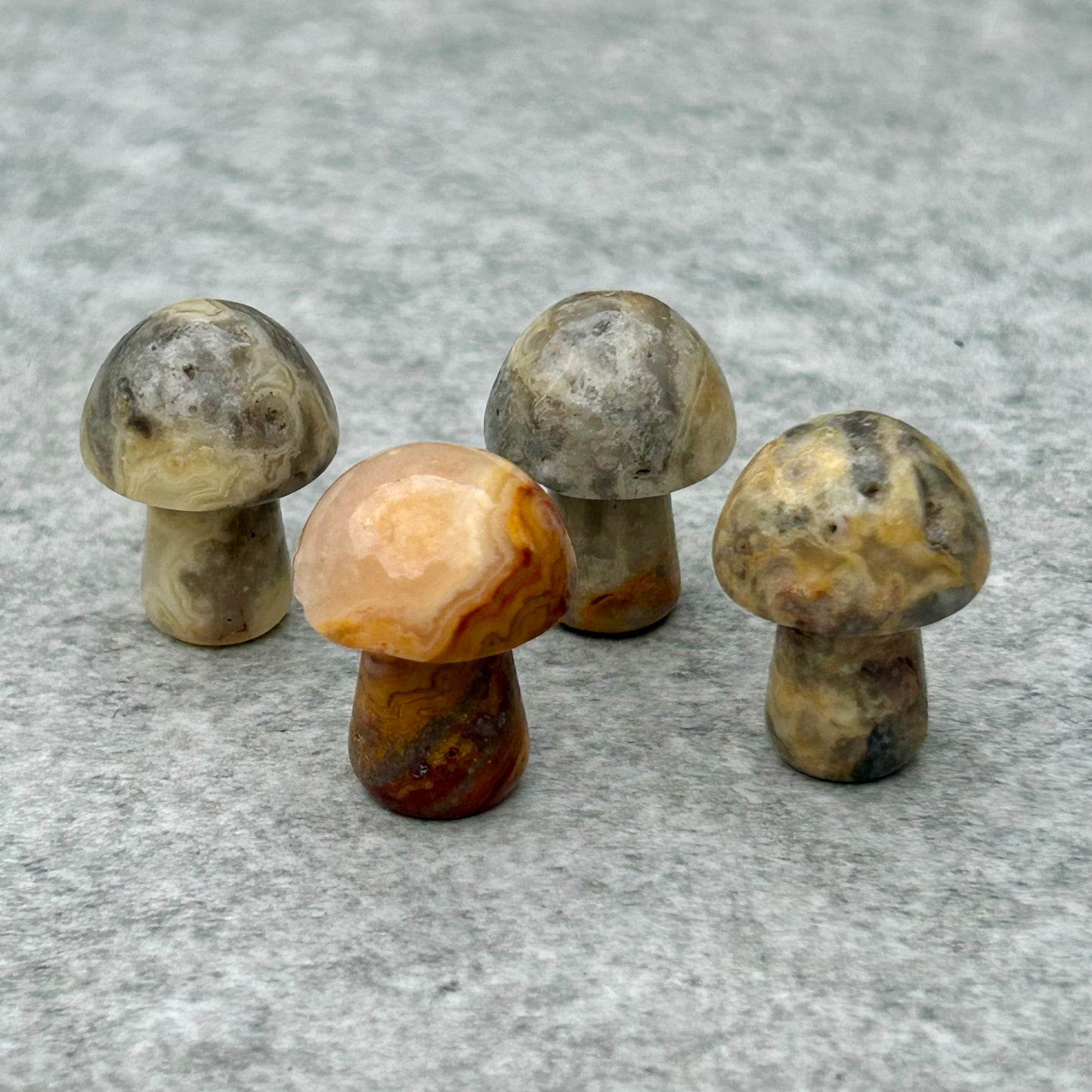 Crazy Lace Agate Mushrooms