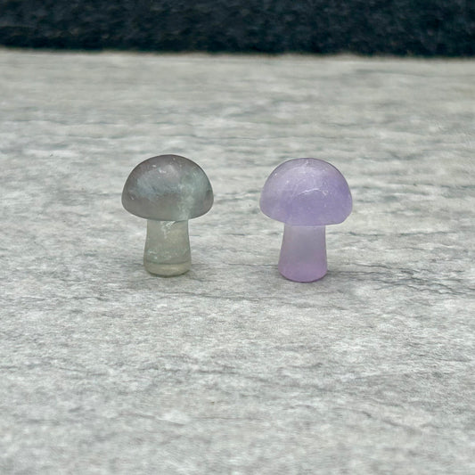 Fluorite Mushrooms