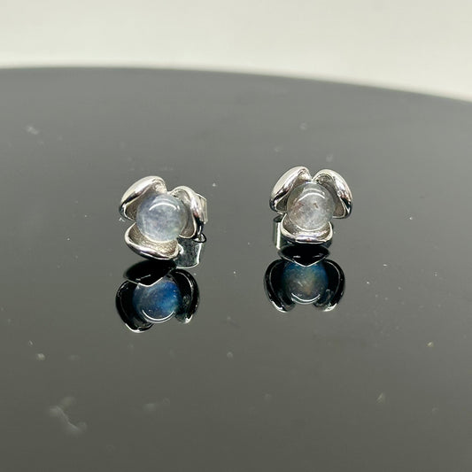 Labradorite 925 Earrings