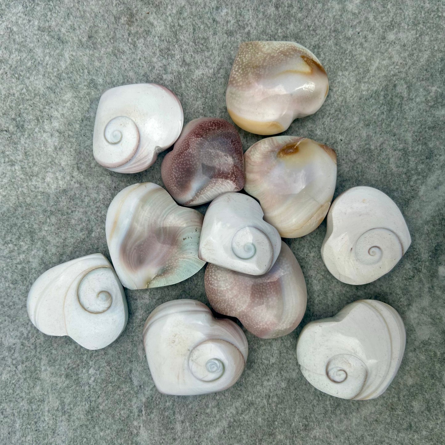 Shiva Heart Shell