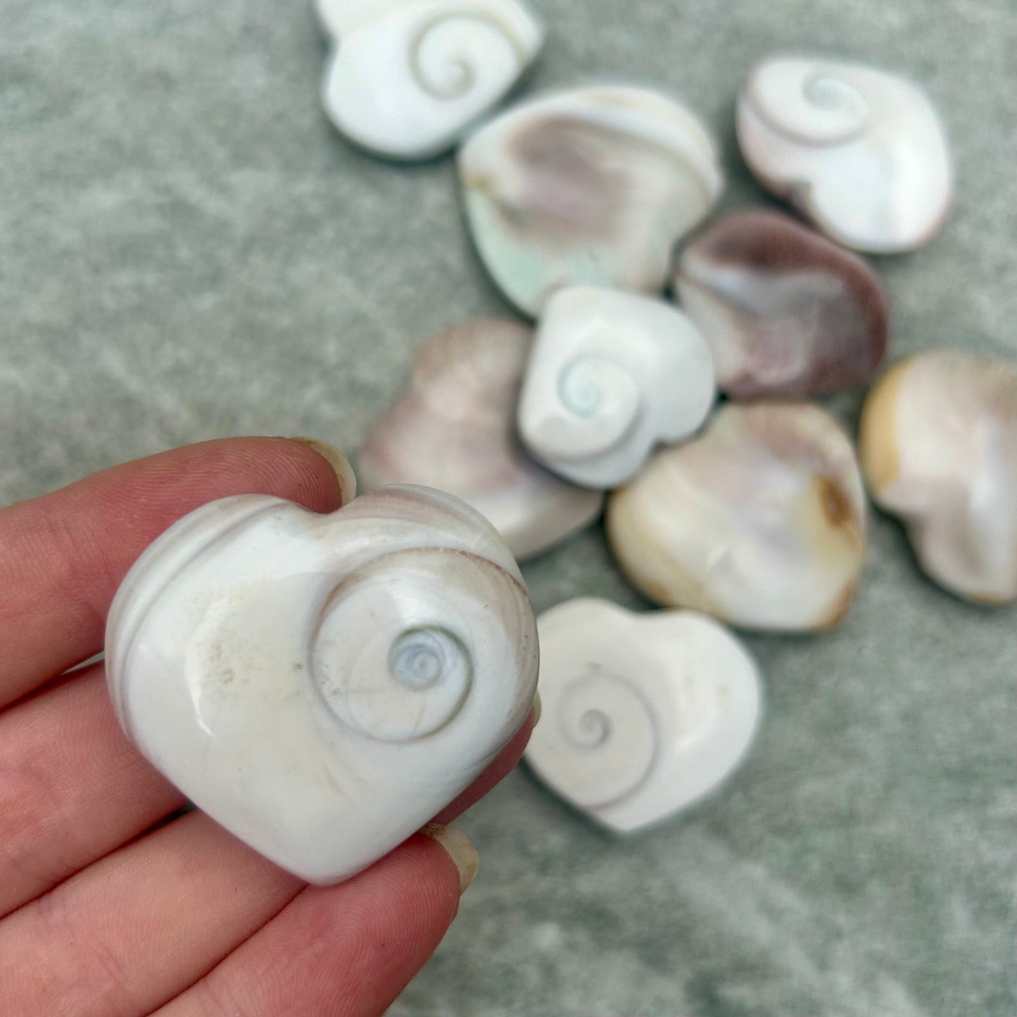 Shiva Heart Shell